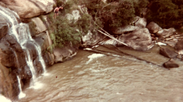 Albert Falls