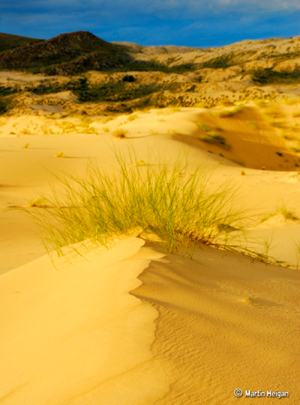 Kalahari sand dunes - photo by Martin Heigan