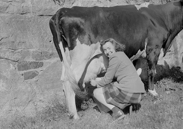 Photo courtesy of the Boston Public Library, Leslie Jones Collection